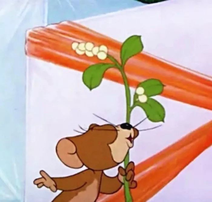 游戏果-加班的XK