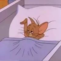 游戏果-代码选手