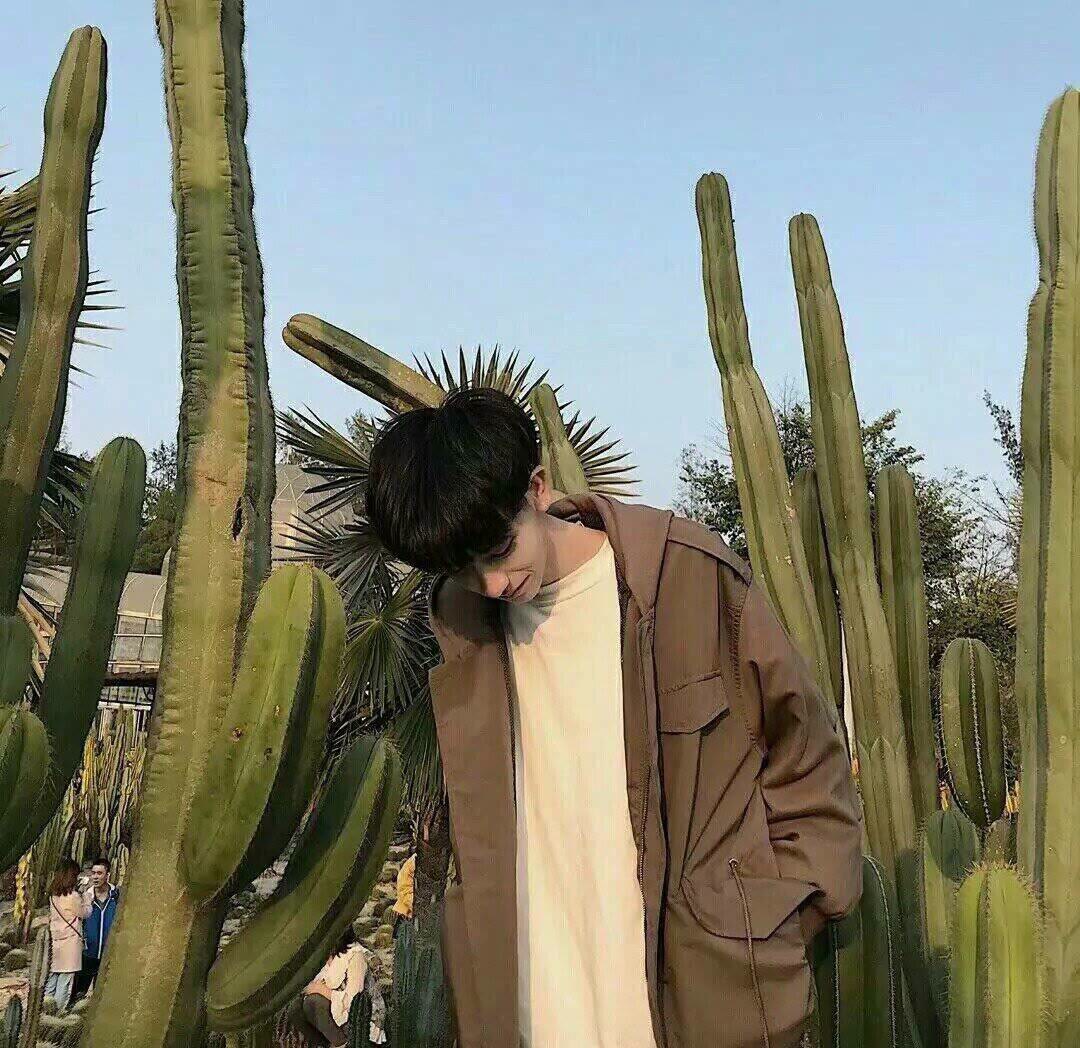游戏果-阿七